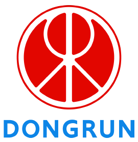 DONGRUN INSTRUMENT logo