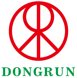 DONGRUN Instrument Logo